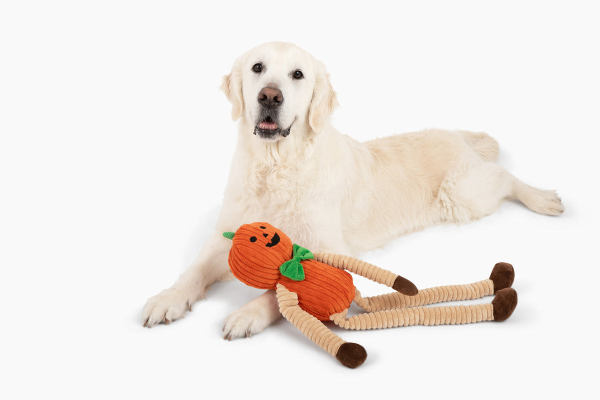 Muttley Pumpkin 24"