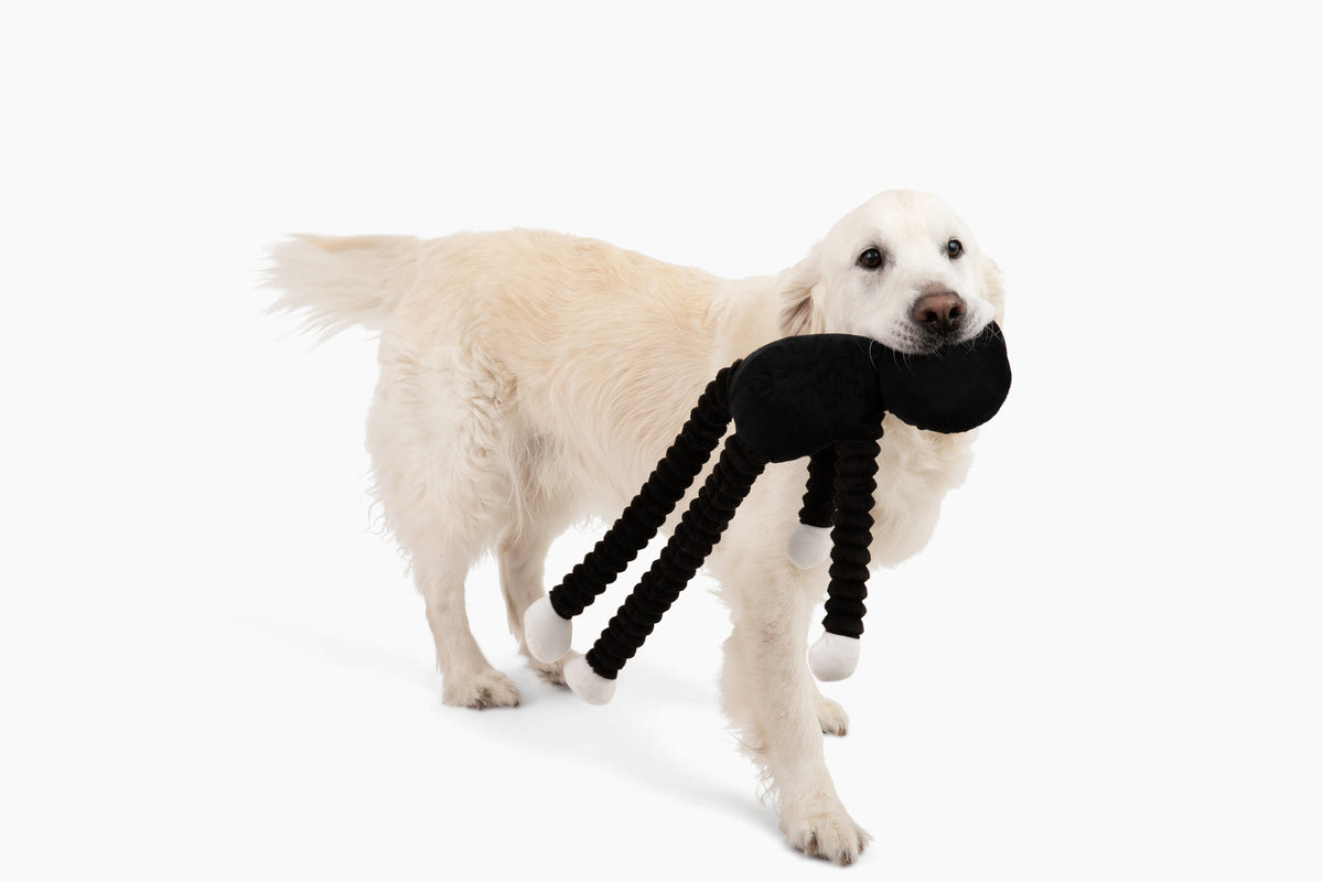 Muttley Skeleton 24"