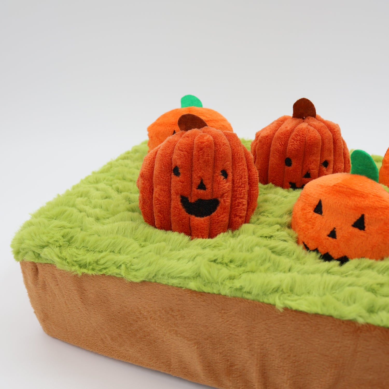 Jack-o-Lanterns at Cemetery 14"