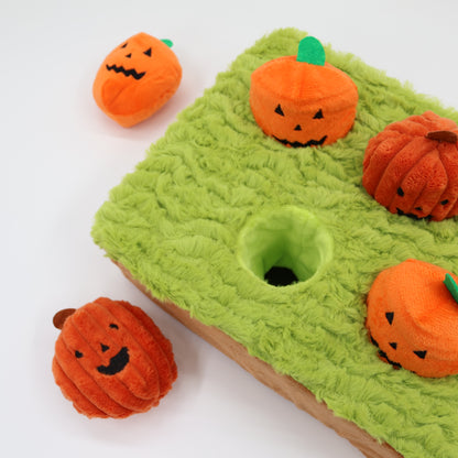 Jack-o-Lanterns at Cemetery 14"