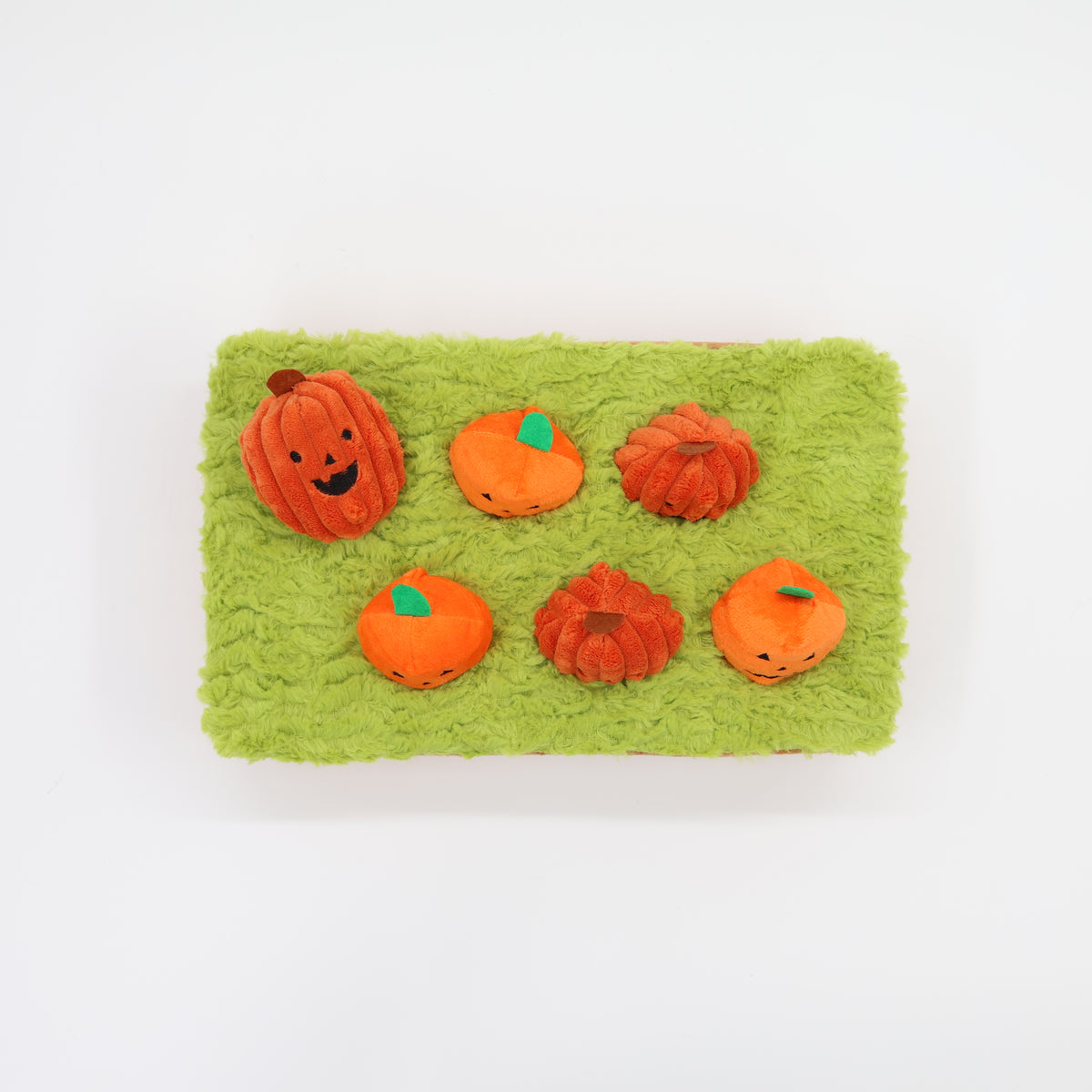 Jack-o-Lanterns at Cemetery 14"