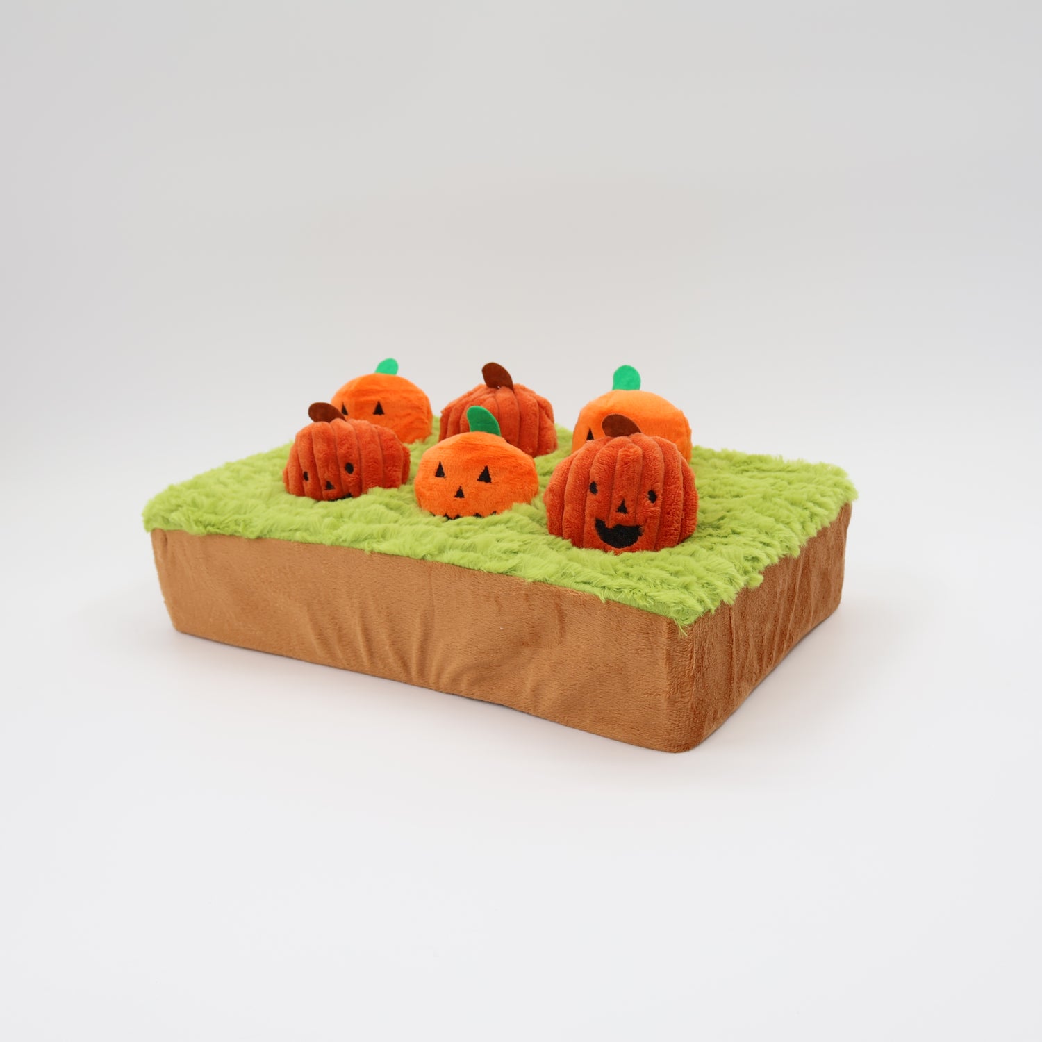 Jack-o-Lanterns at Cemetery 14"