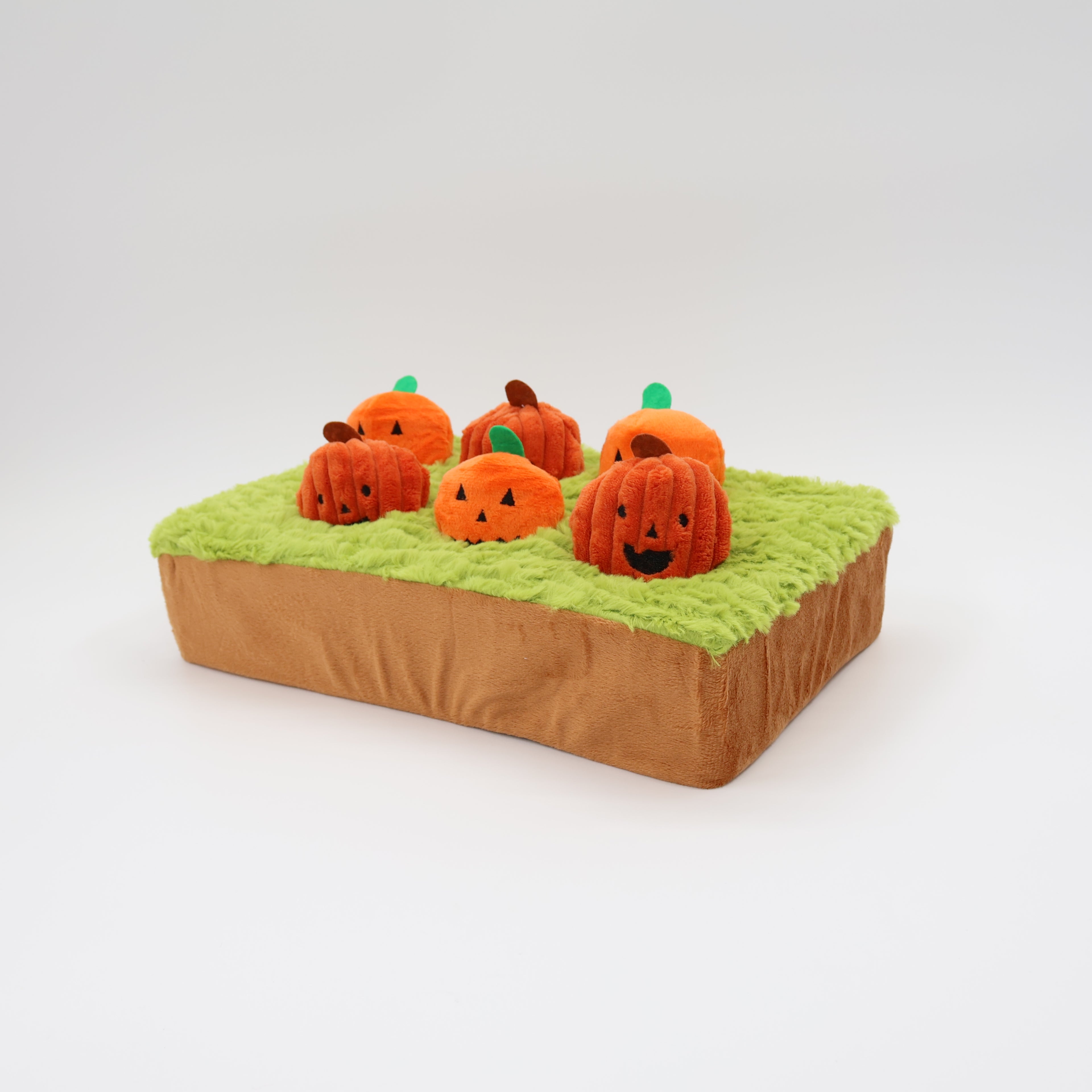 Jack-o-Lanterns at Cemetery 14"