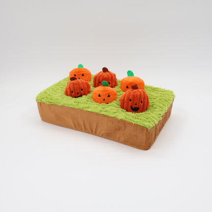 Jack-o-Lanterns at Cemetery 14"