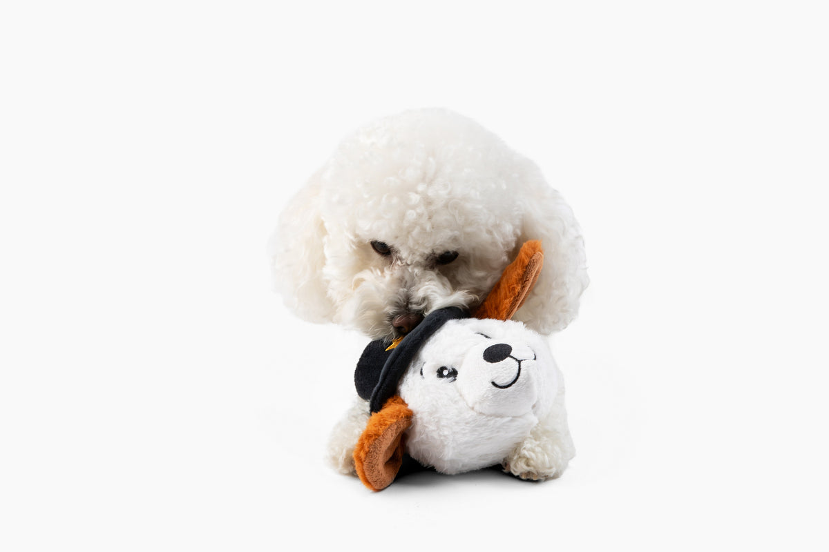 Pricklet Cowboy Dog 4"