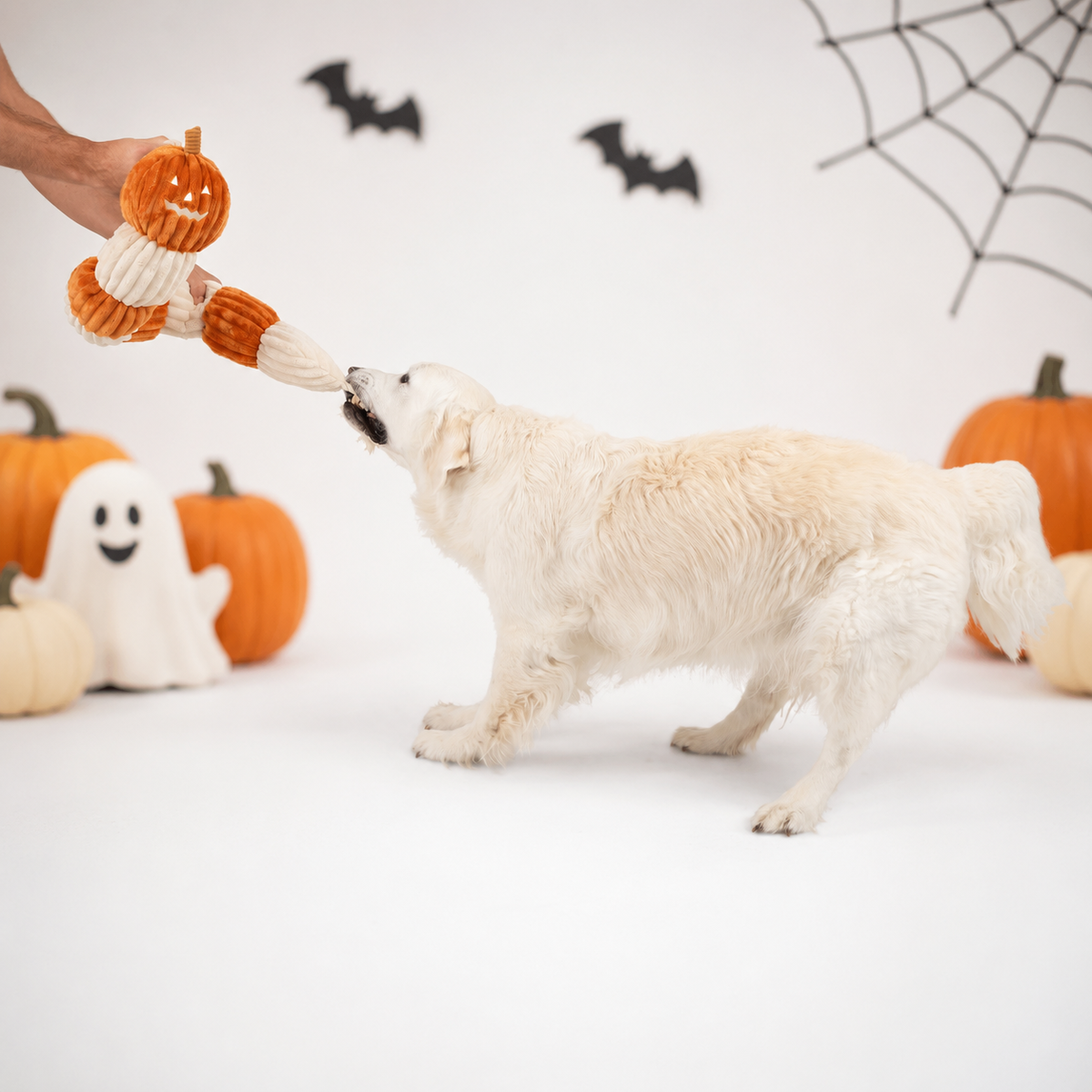 Pumpkin Rope Caterpillar 35"