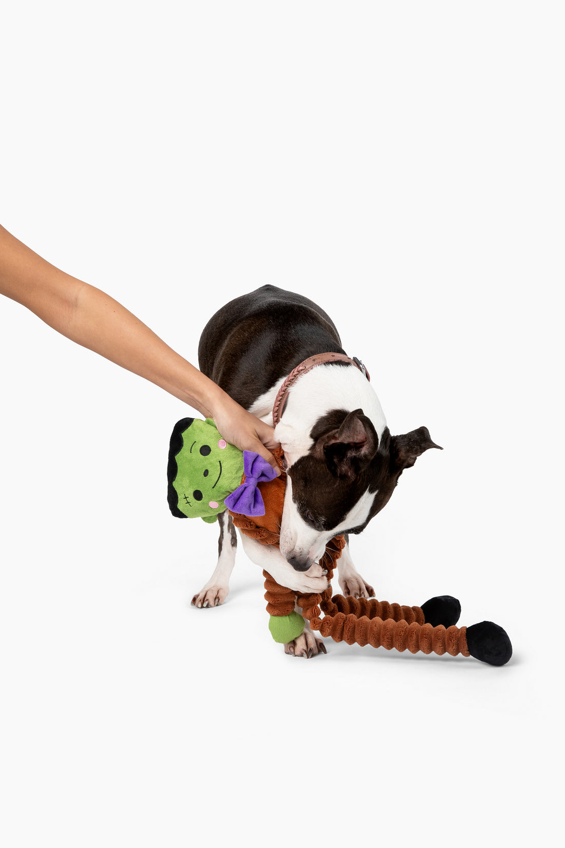 Muttley Frankenstein 24"