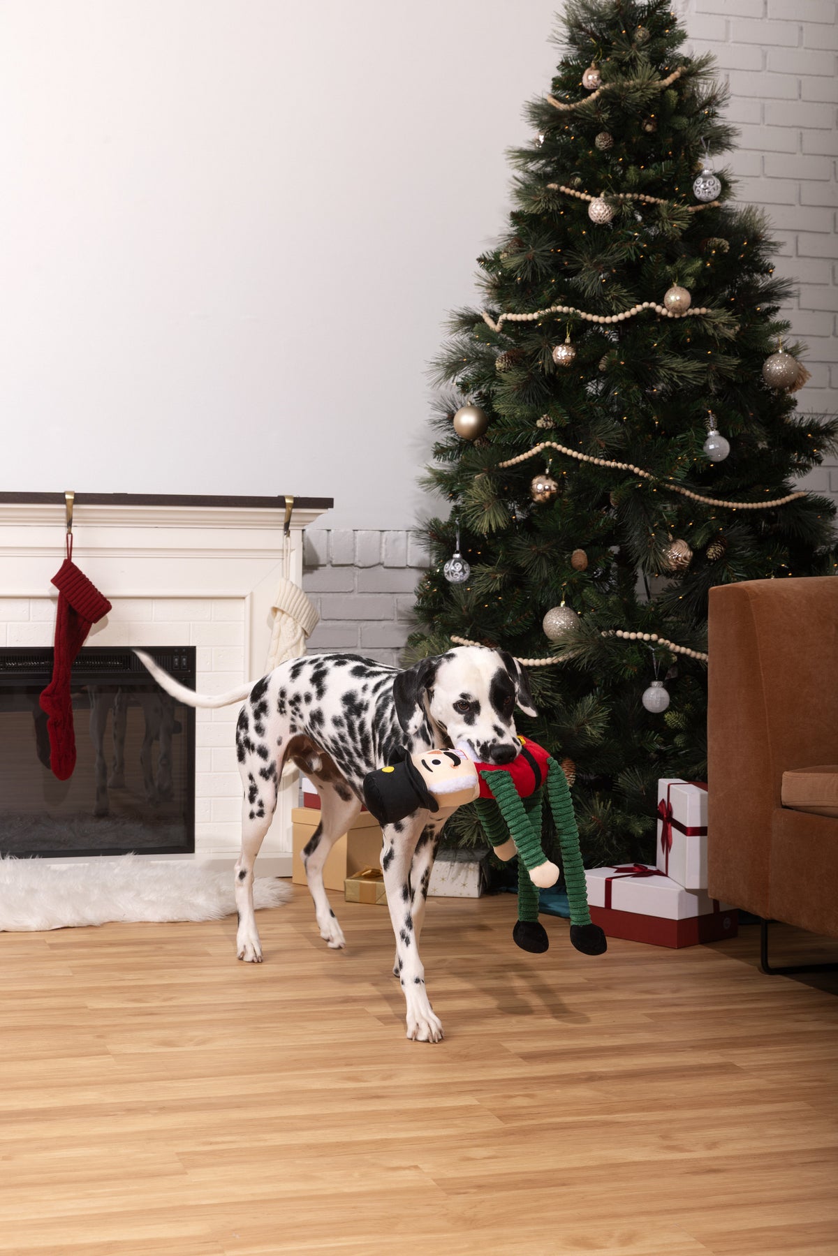 Muttley Nutcracker 24"