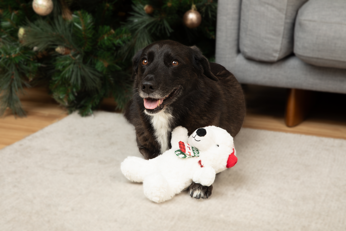 Holiday Polar Bear 10"
