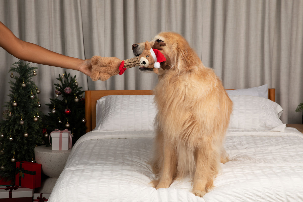 Tug and Toss Reindeer 15"