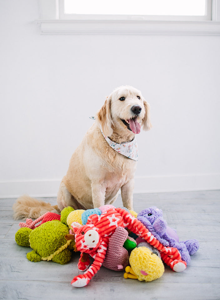 Patchwork Pet: Shop Our Collection of Plush and Trendy Dog Toys –  PatchworkPet