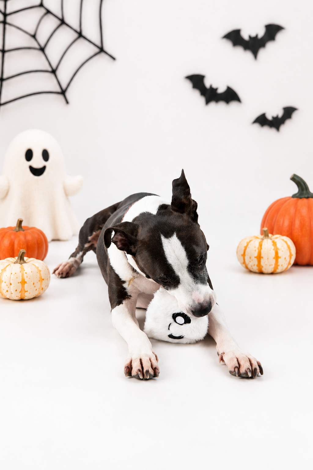 Halloween Pricklet Trio – Happy Pumpkin, Ghost &amp; Black Bat