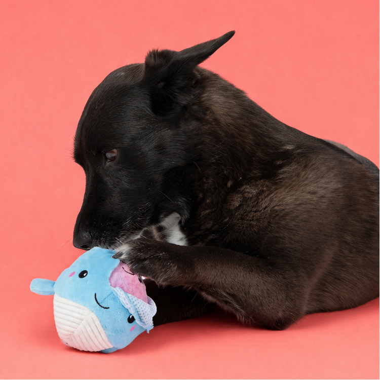 Patchwork Pet: Shop Our Collection of Plush and Trendy Dog Toys