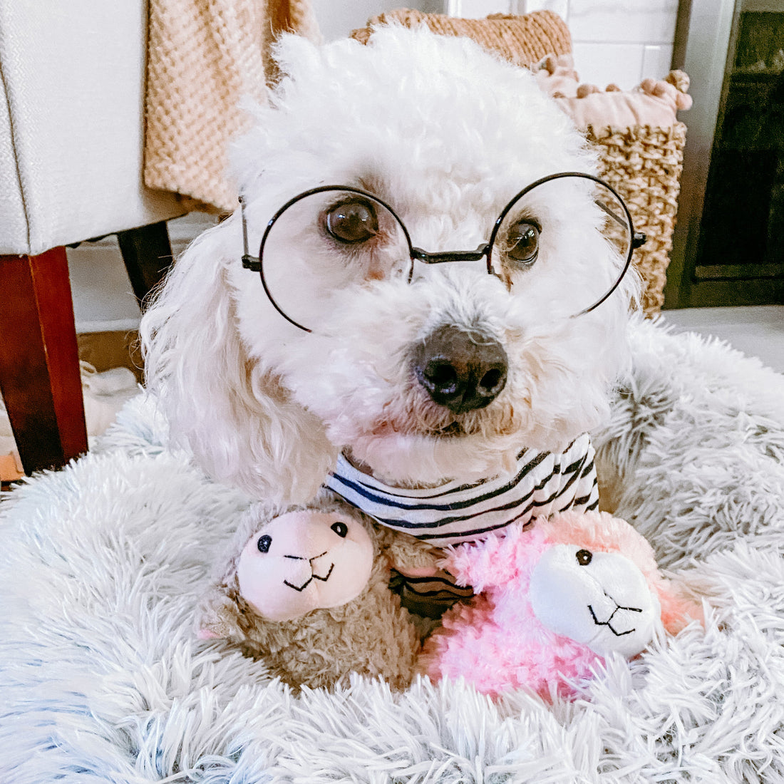 Sheepie Duo