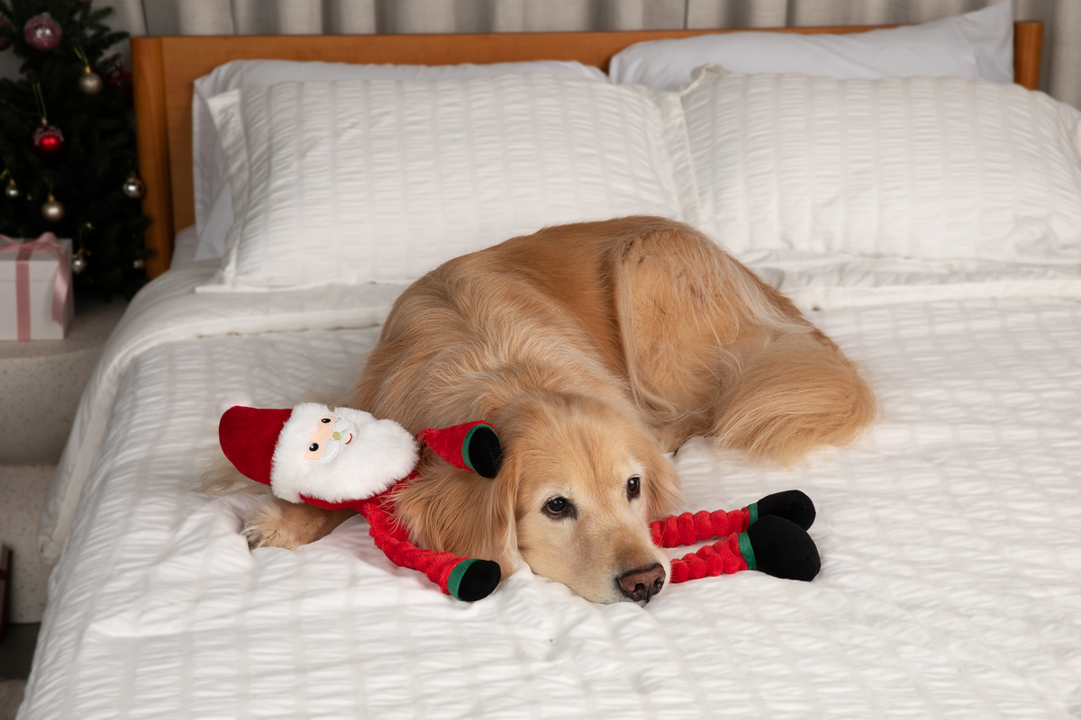 Muttley Happy Santa 24"