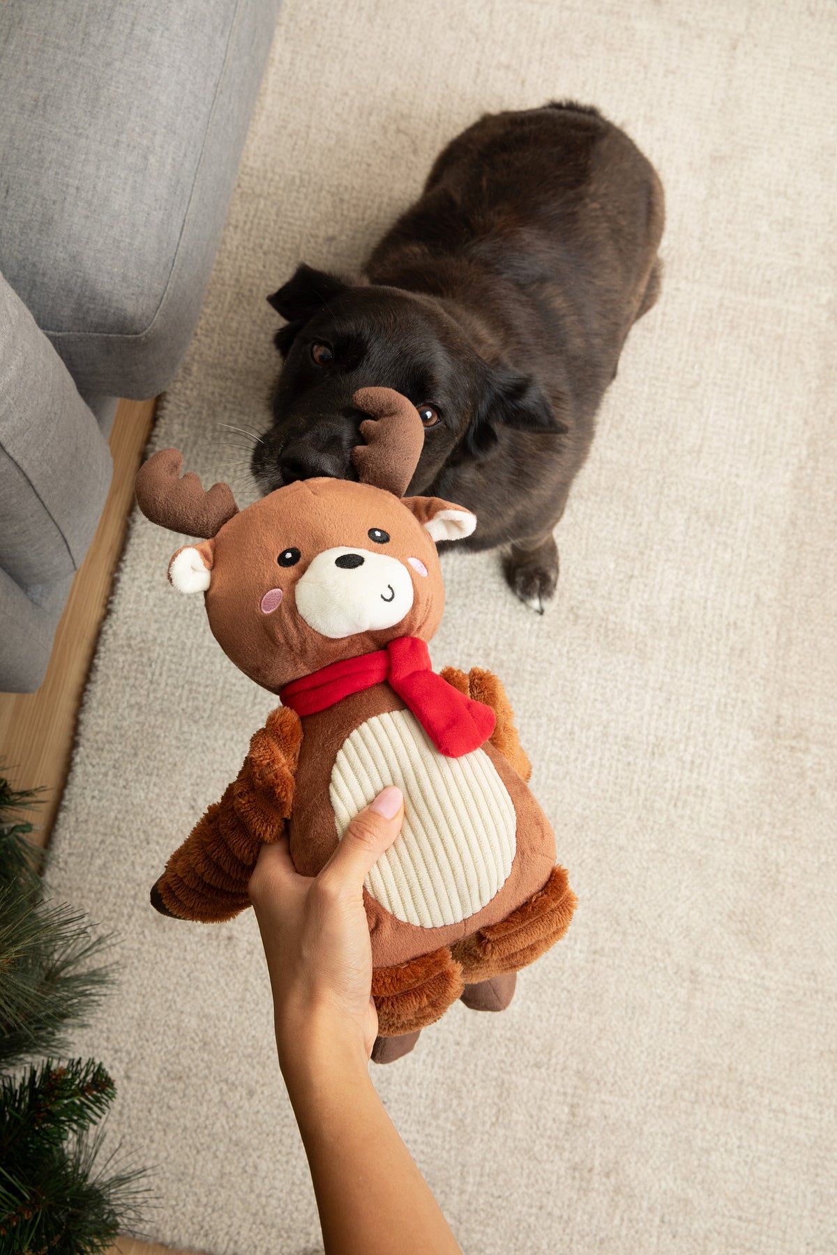 Muttley Happy Reindeer 24"