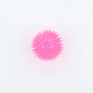 Pricklet Snowman with Hat 4"