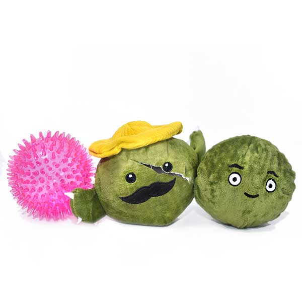 Stimulating Squeaky Pet Enrichment and Puppy Toys Consuela The Cactus Toy -  China Pet and Pet Product price