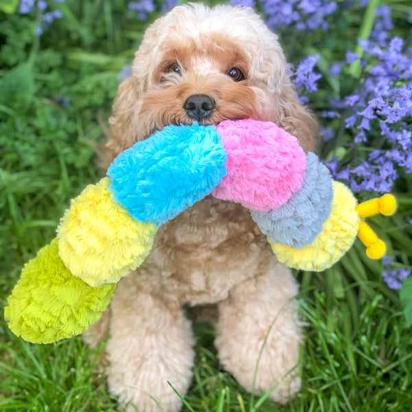 Patchwork Pet Plush Caterpillar Dog Toy with doodle Dog