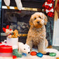 Happy Holiday Polar Bear 14"