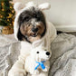 Happy Holiday Polar Bear 14"