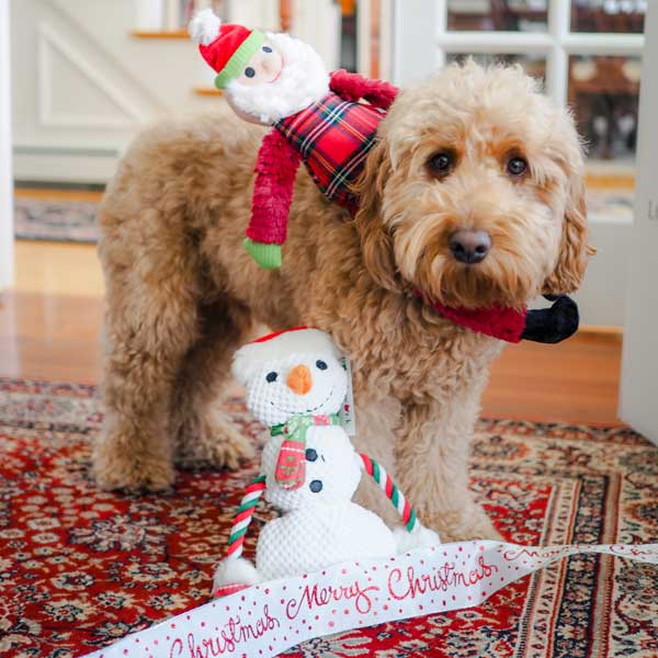 Muttley Santa 24"