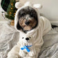 Happy Holiday Polar Bear 14"