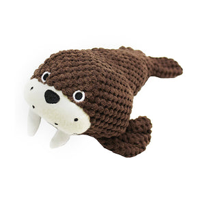 Walrus