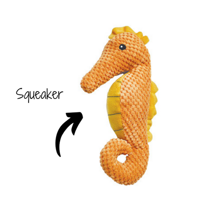 Seahorse