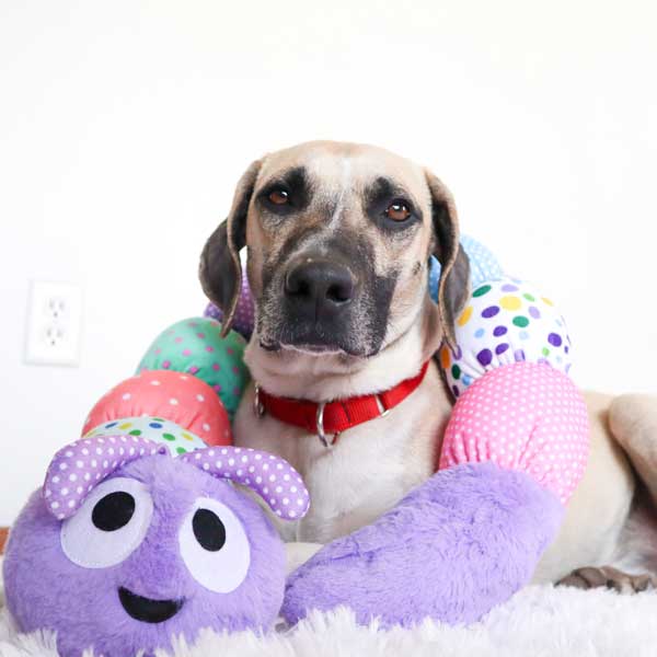 https://www.patchworkpet.com/cdn/shop/products/Easter-dog-toys-easter-caterpillar-1-patchwork-pet-plush-dog-toys11.jpg?v=1615400434