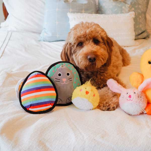 https://www.patchworkpet.com/cdn/shop/products/Easter-dog-toys-floppy-ear-chick-patchwork-pet-plush-dog-toys11.jpg?v=1615400168