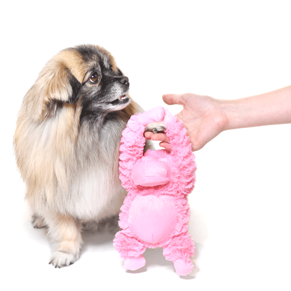 Patchwork Pet gorilla Plush Dog Toy with rescue dog