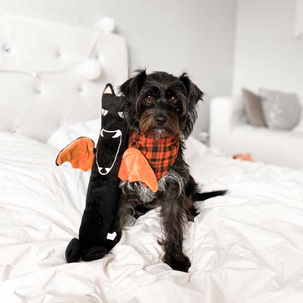 Halloween trendy plush dog toys Bat stick patchwork pet plush dog toys  and black dog 