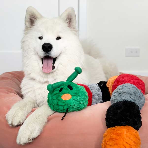 Patchwork Pet Pastel Softies Caterpillar Dog Toy 35 inch