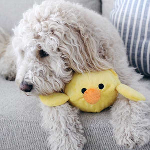 Chick + Egg Prickles