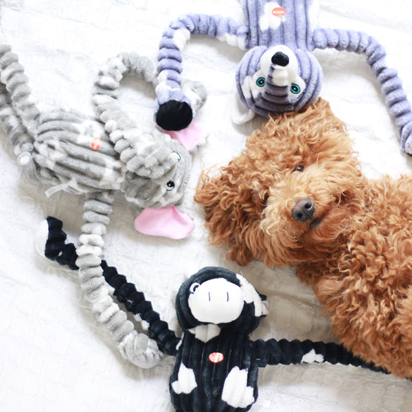 Little Pullip+ / Dog (犬) F-846 2mvetro Used Little Pullip / Dog F-846 2Mvetro | eBay