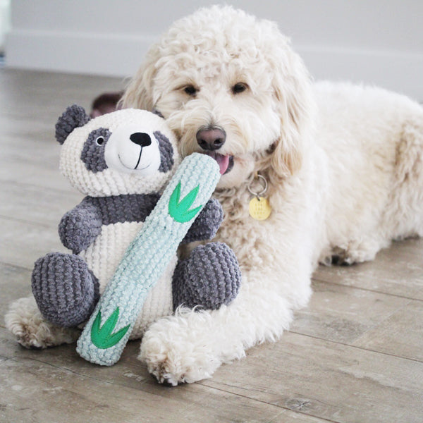 Reed The Panda