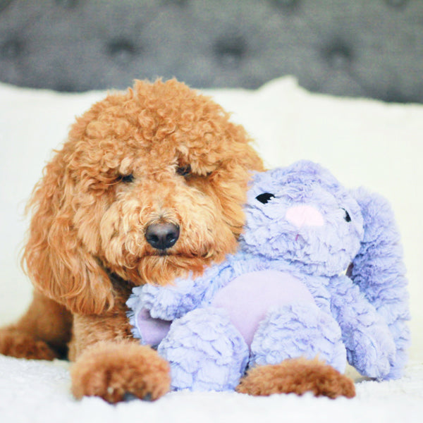 Patchwork Pet Plush Dog Toys The Pastel Rabbit Dog Toy