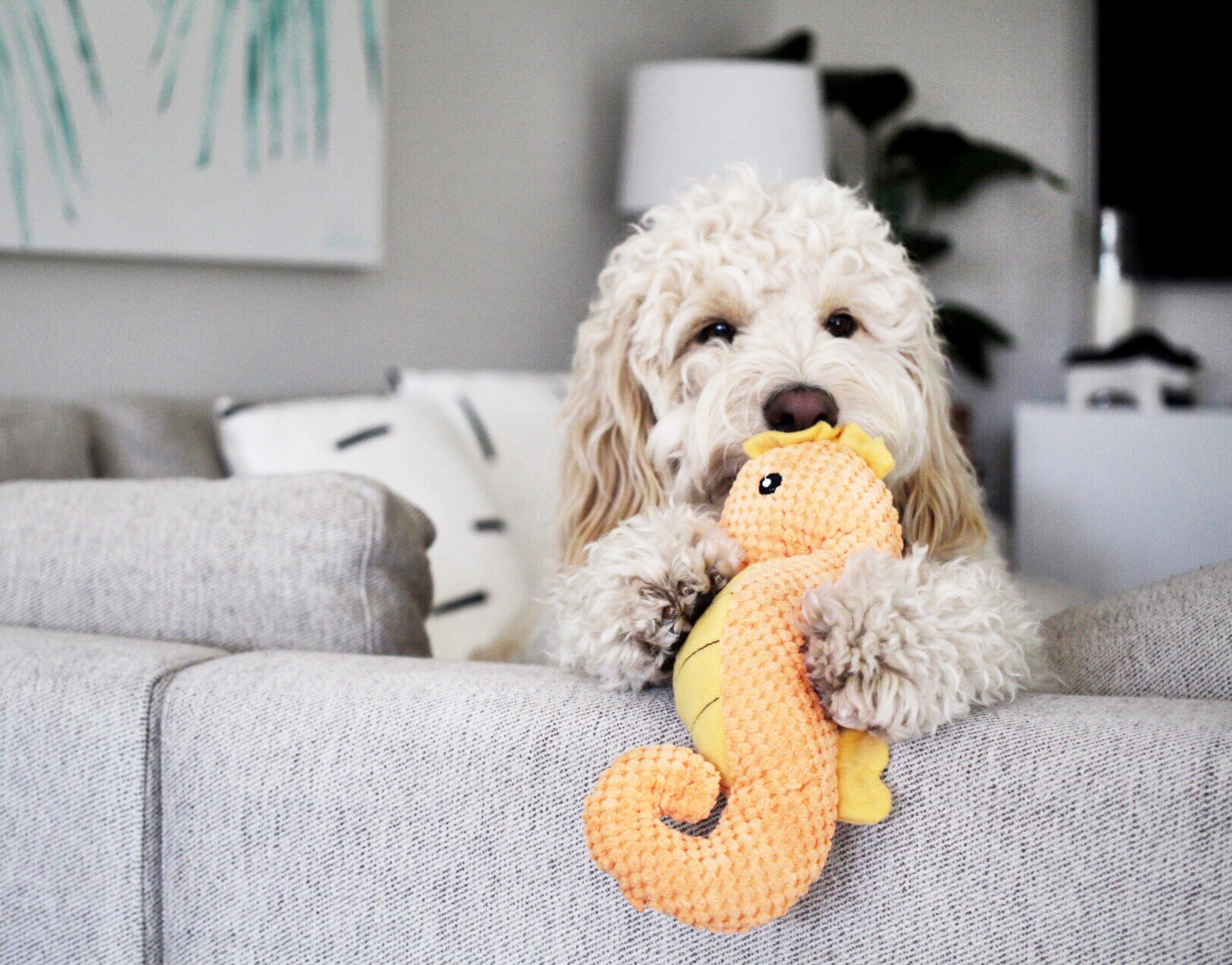 Patchwork Pet Plush Dog Toys Seahorse Nautical Toy 11 Inches