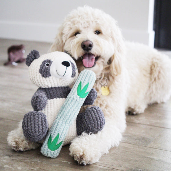 Reed The Panda