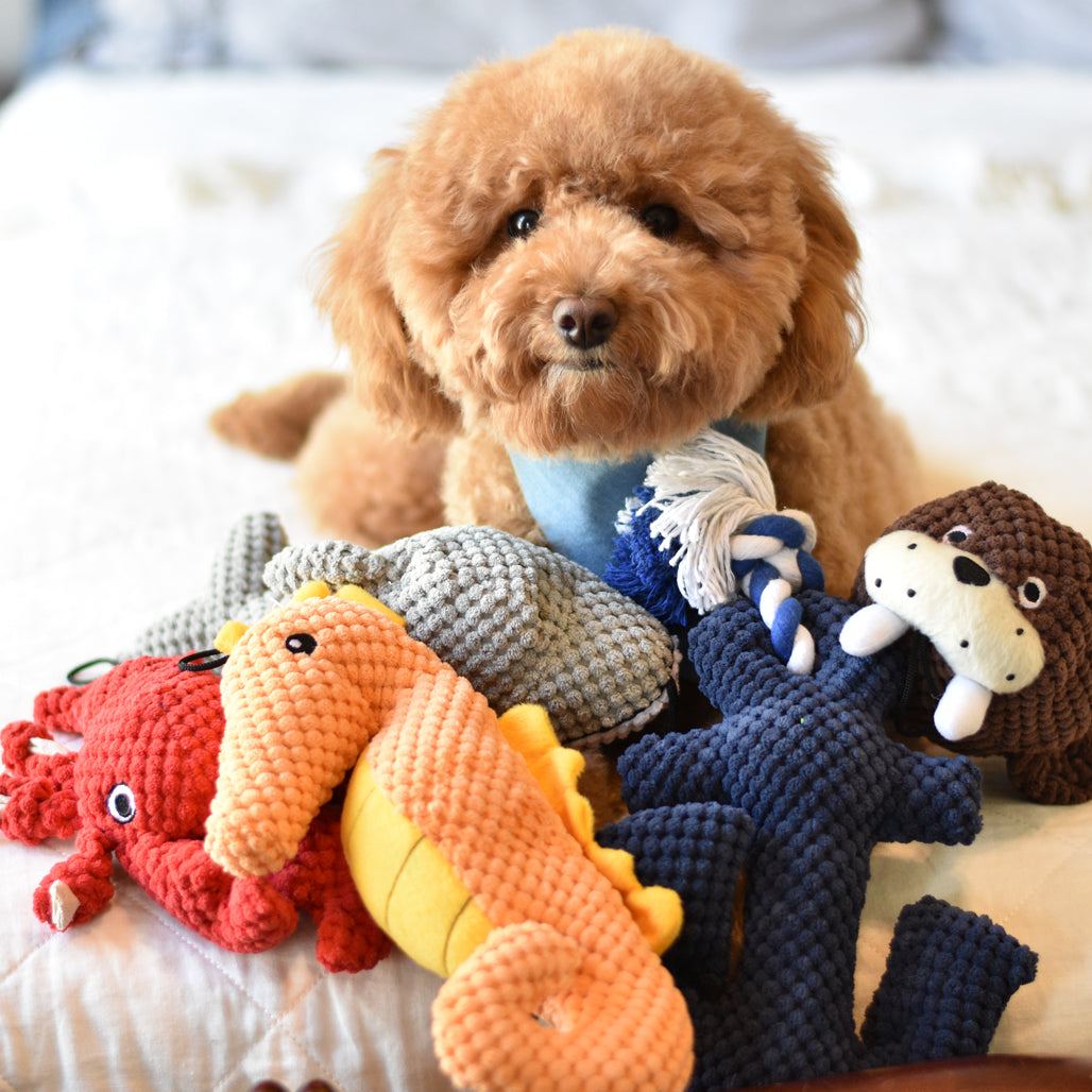 Pet plush toys new arrivals