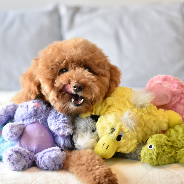 Patchwork dog toys clearance