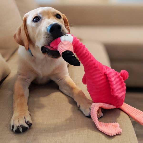 Flamingo 21"