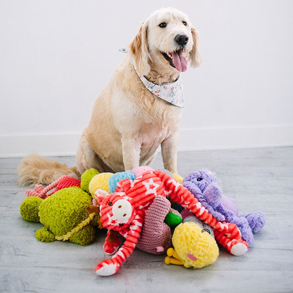 Plush & Trendy Dog Toys, Dusty The Dog