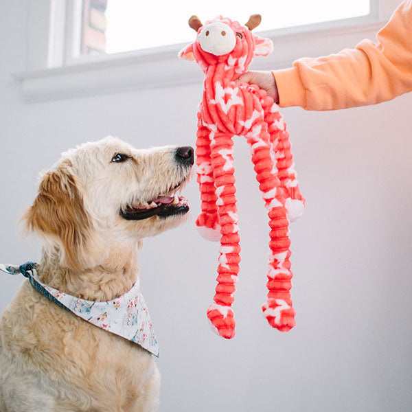 Gigi Giraffe