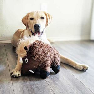 Warthog plush dog toy patchwork pet plush dog toys