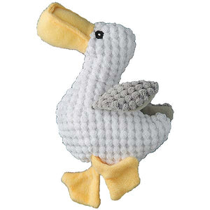 Seagull