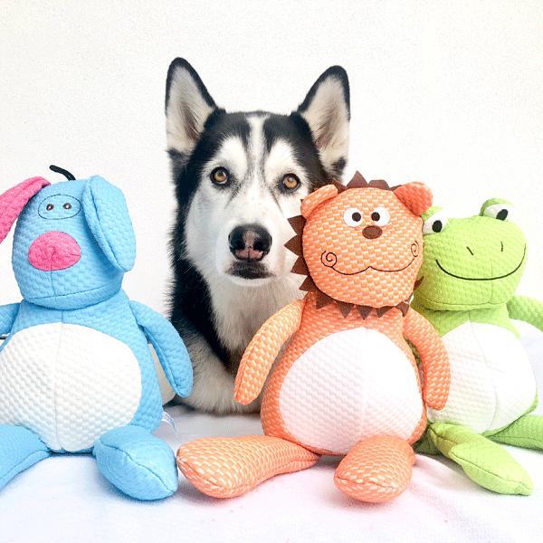 Patchwork Pet Plush Doggle, Froggle and Lion Dog Toys with Husky Dog