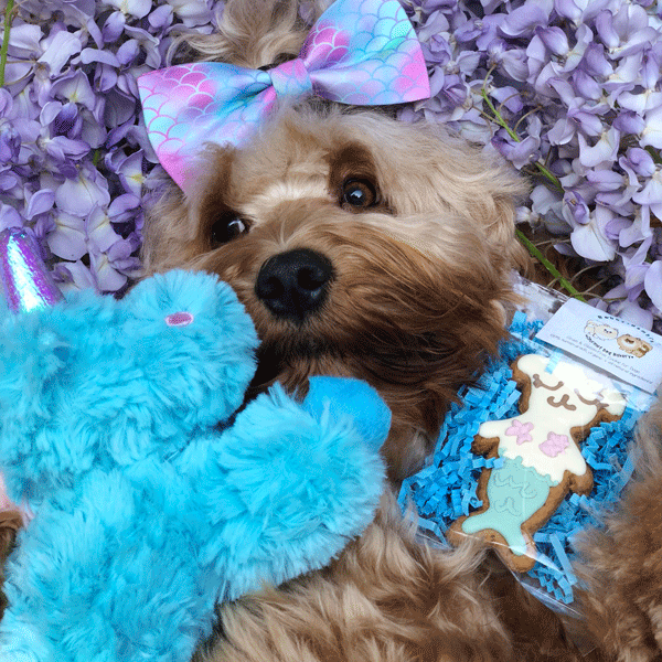 Patchwork Pet Plush Blue Unicorn Dog Toy with goldendoodle dog