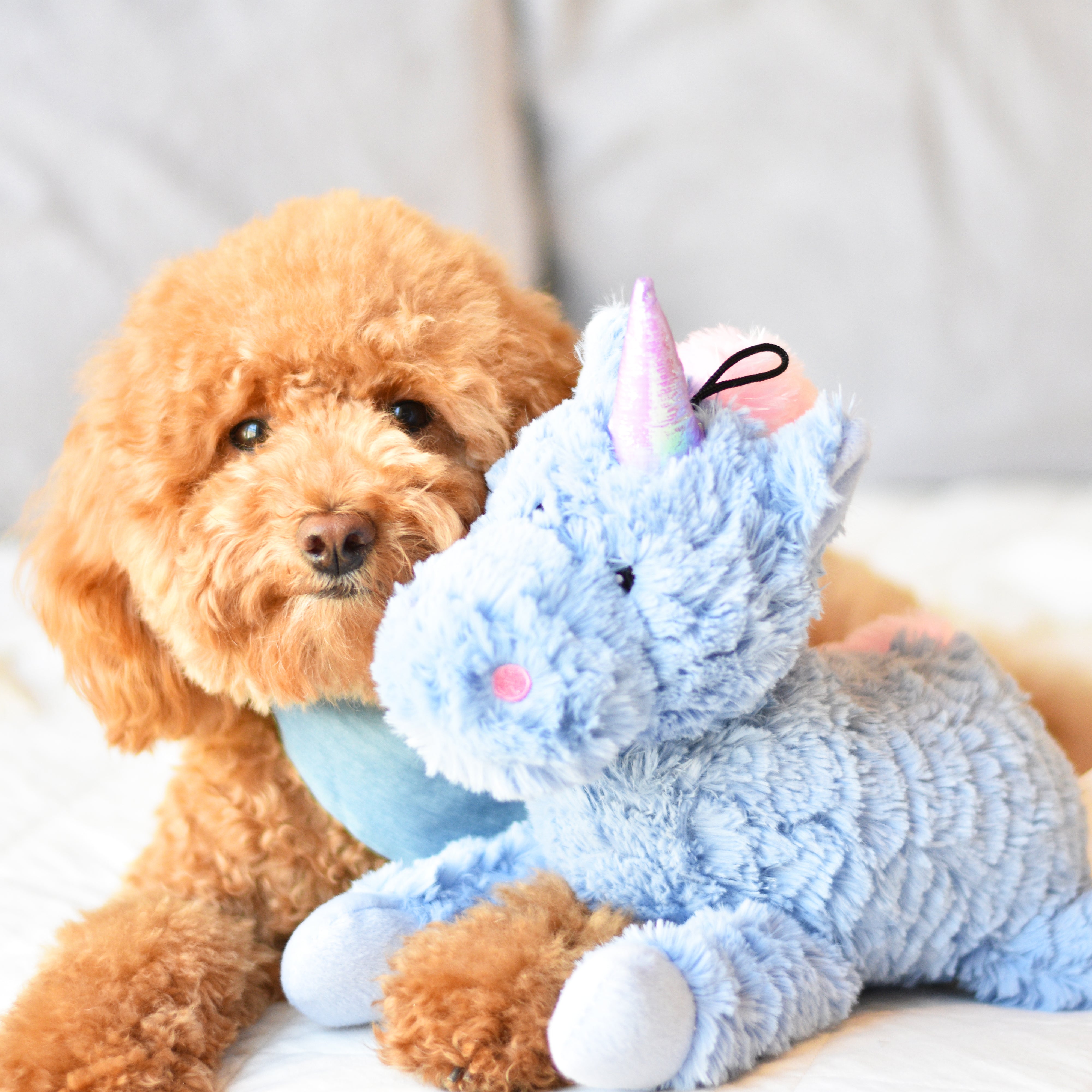 Patchwork Pet Unicorn Dog Toy, Plush Dog Toys